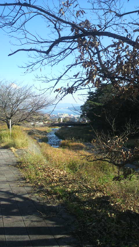 c0206352_2182268.jpg