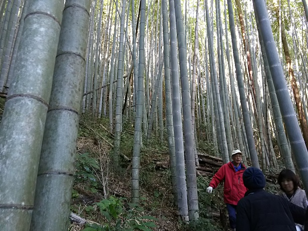 f0067354_532246.jpg