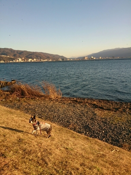 f0046262_08034083.jpg