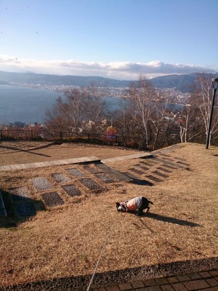 f0046262_08034202.jpg