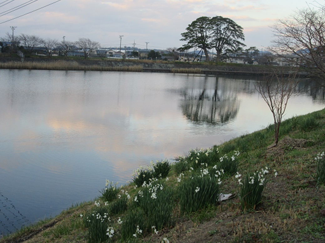 f0113862_1716232.jpg