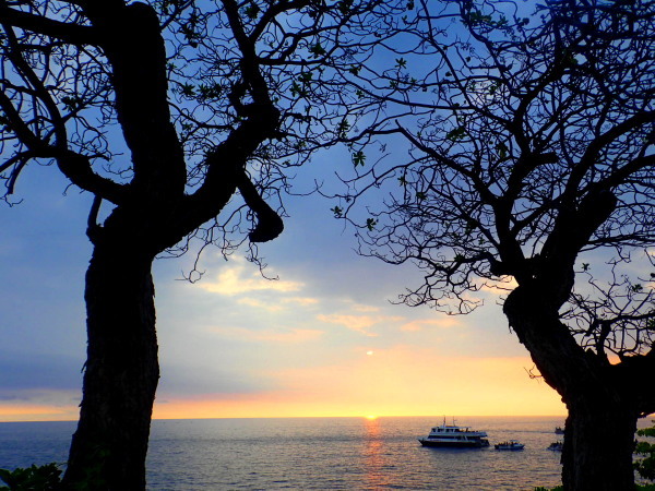 c0122670_20163760.jpg
