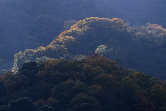 d0126577_23301427.jpg