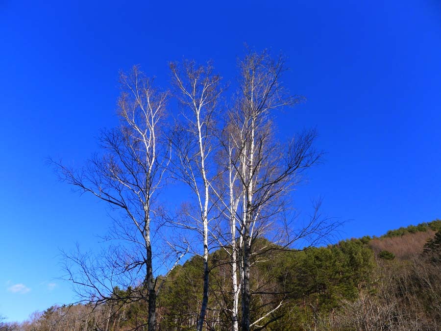 a0130586_20484235.jpg