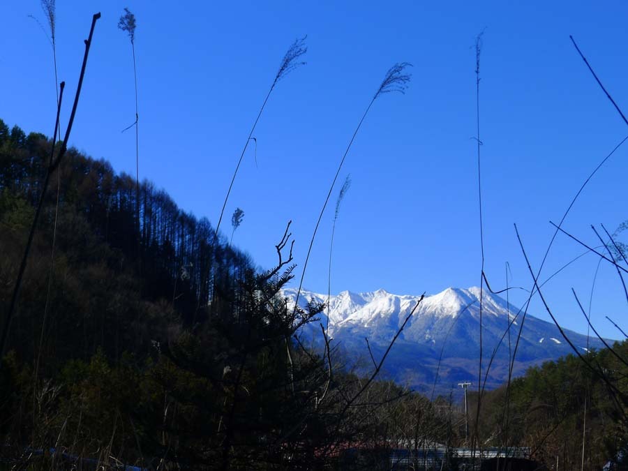 a0130586_215688.jpg