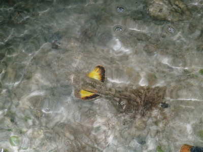 f0338188_1715835.jpg