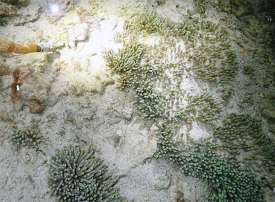 f0338188_17184137.jpg