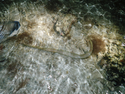 f0338188_17195977.jpg