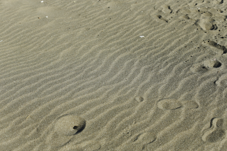a0025490_1424995.jpg