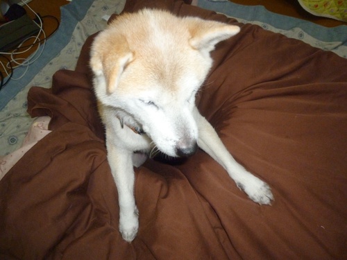c0123890_20544950.jpg