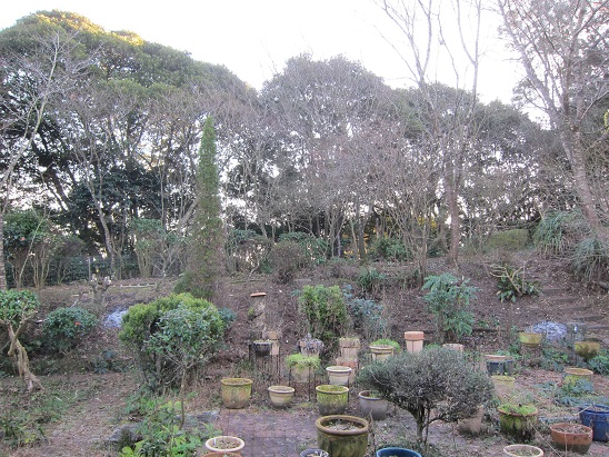 f0106692_21143627.jpg