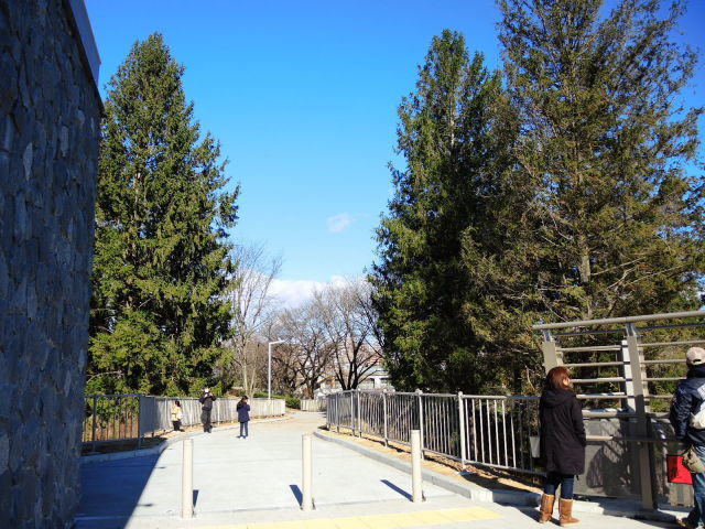 f0100593_21443211.jpg