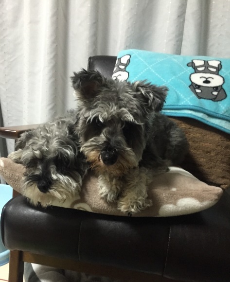 b0188998_23310222.jpeg