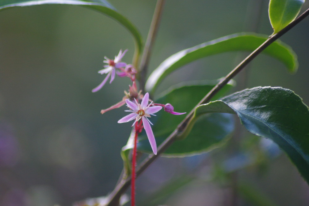 b0052108_1457419.jpg