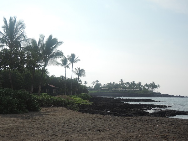 e0087008_1185057.jpg