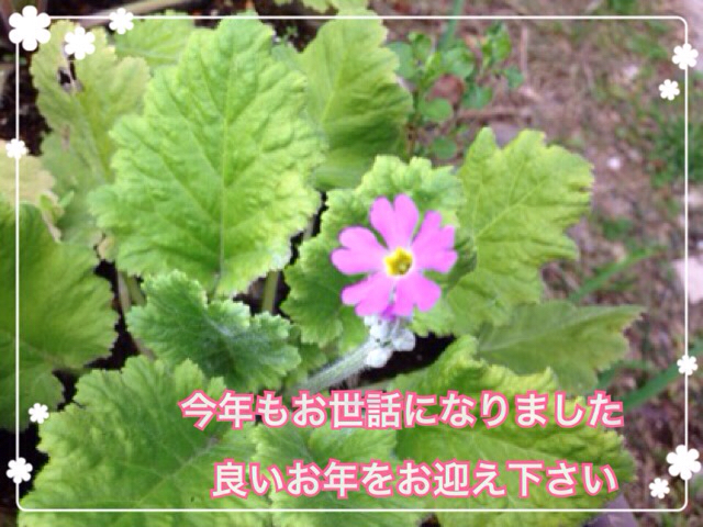 f0162908_17502060.jpg