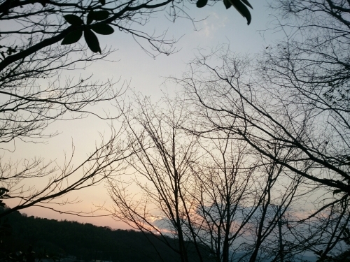 c0352015_17572172.jpg