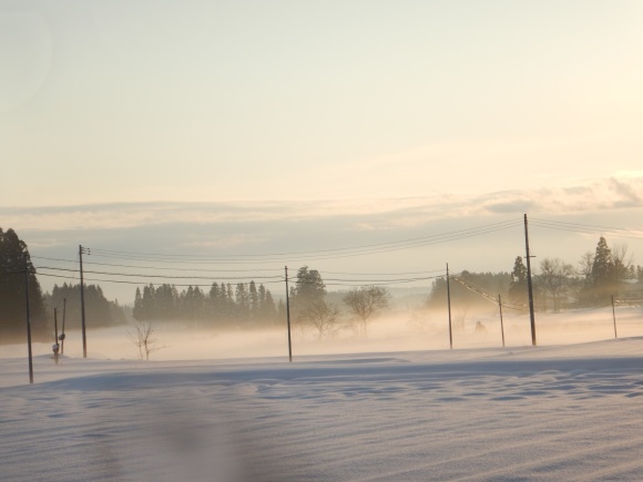 f0118332_23435473.jpg