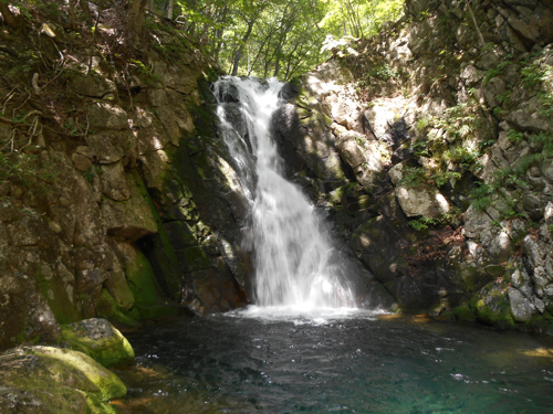 f0060535_11181335.jpg