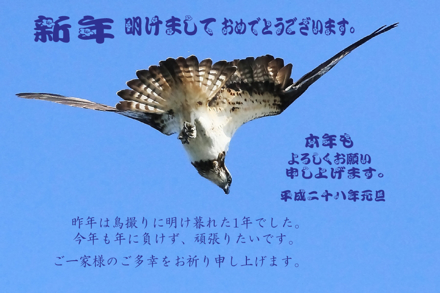 e0077041_211774.jpg