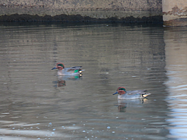 f0214649_3172771.jpg