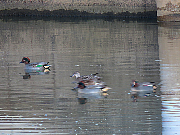 f0214649_317437.jpg