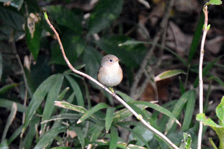 f0124451_21571399.jpg