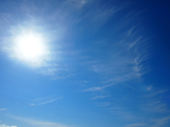 b0268454_1355786.jpg