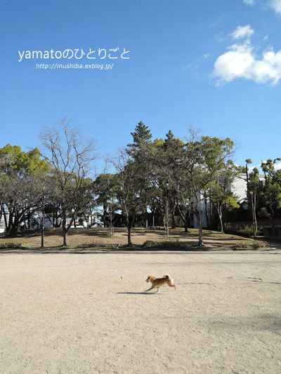 a0286855_812882.gif