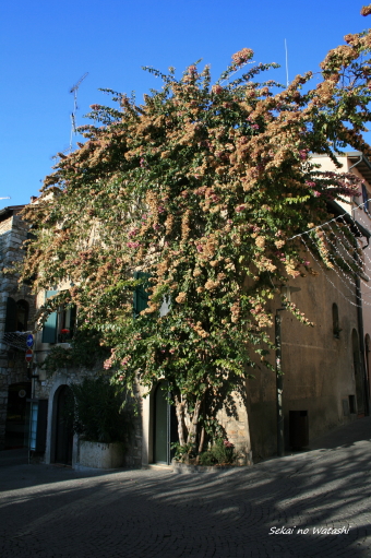 f0077159_0215368.jpg