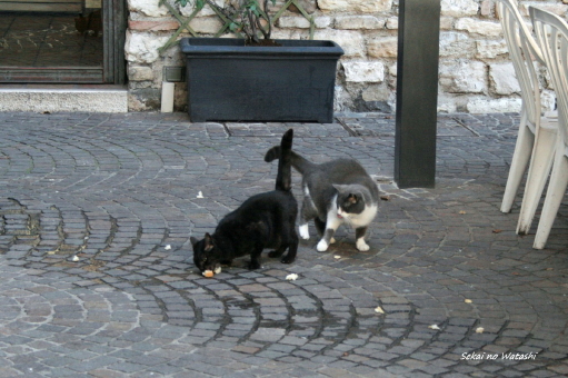 f0077159_022071.jpg