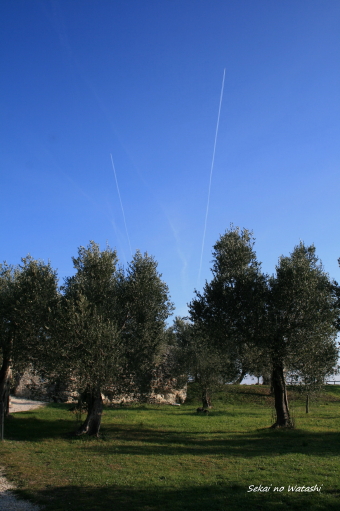 f0077159_0223853.jpg