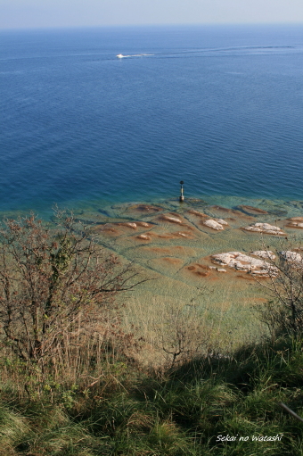 f0077159_0231216.jpg
