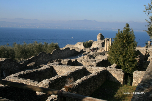 f0077159_0232381.jpg