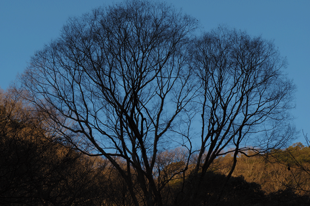 e0346064_15494213.gif
