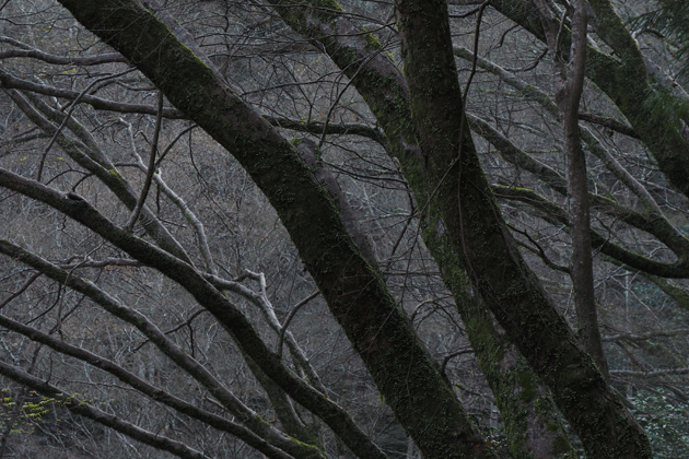e0346064_15495382.gif