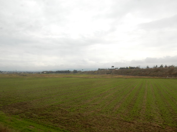 d0082970_1821489.jpg