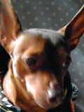 c0228378_2216756.jpg