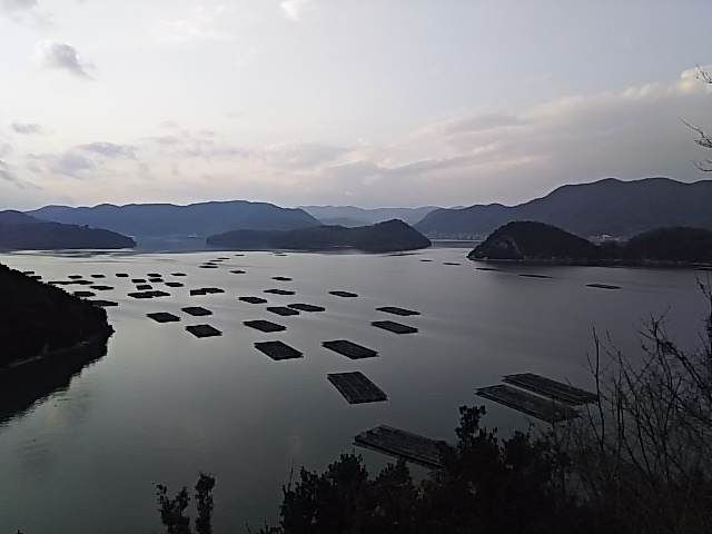 a0229491_16102027.jpg