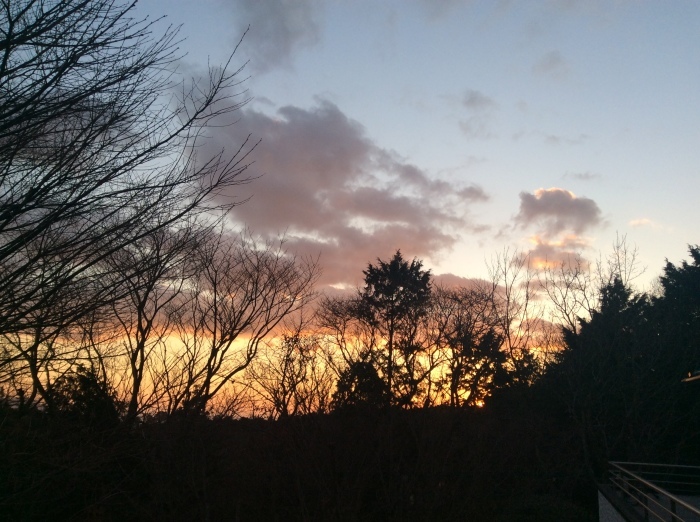f0268294_20421392.jpeg