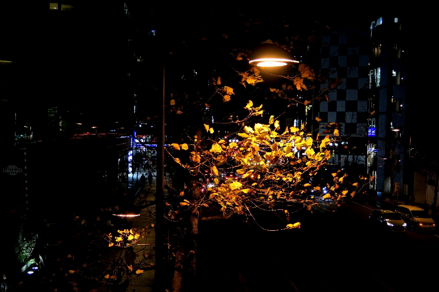 f0137096_231638.jpg