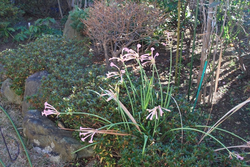 e0025300_14464189.jpg