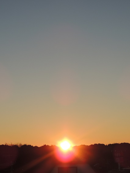 f0150620_749441.jpg