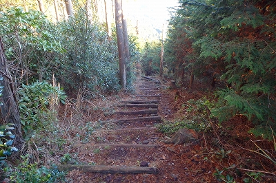 f0193521_18354644.jpg