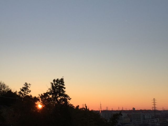 f0229926_832655.jpg