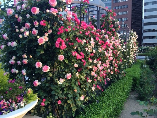 f0028132_20114290.jpg