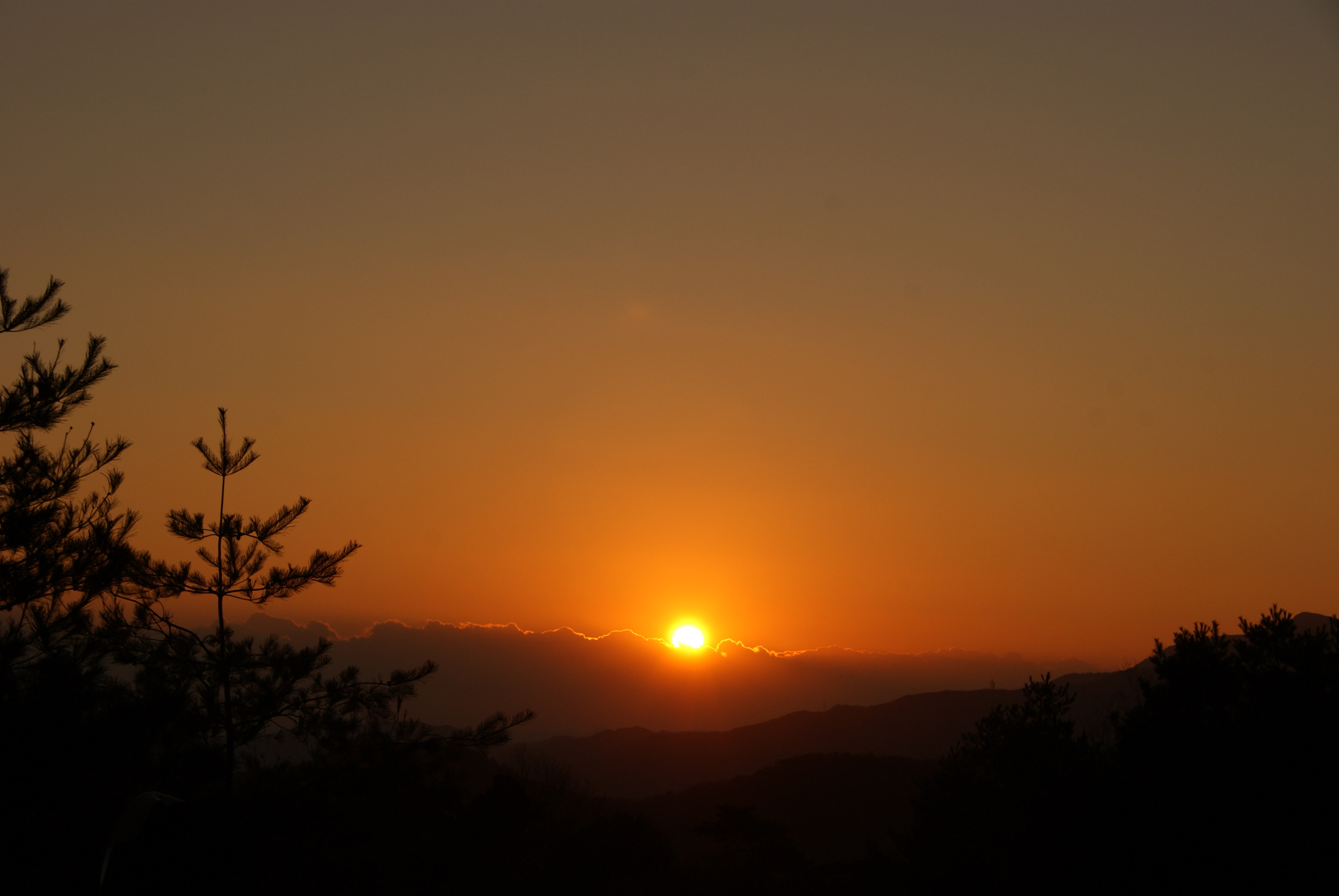 f0186333_231477.jpg