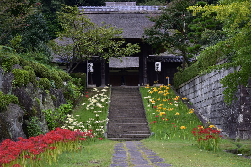 b0042837_895691.jpg