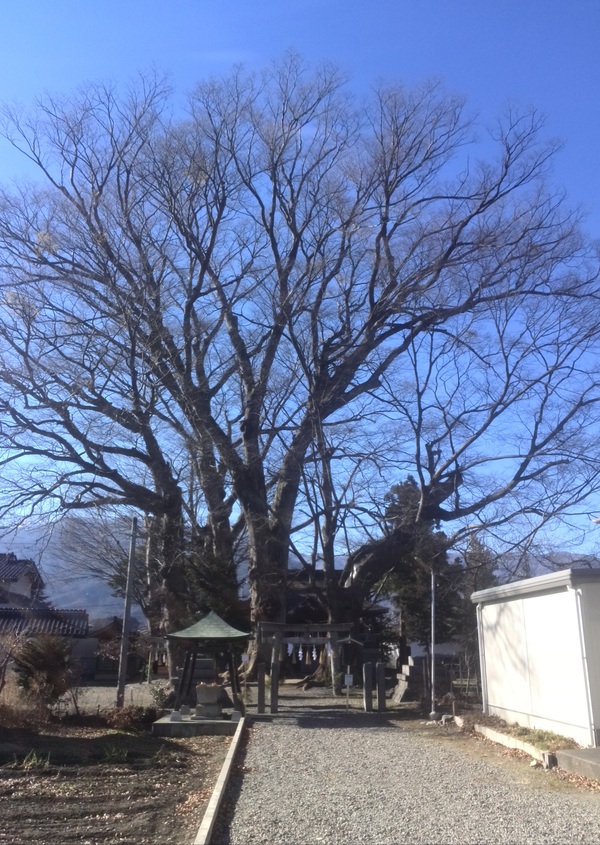 c0283938_21262260.jpg