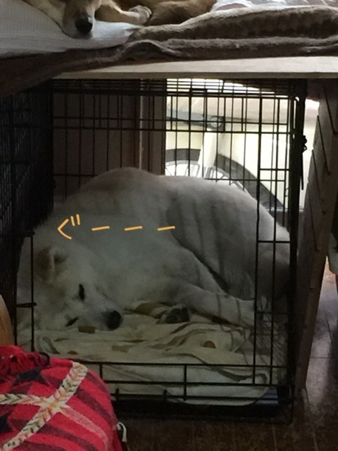 e0350450_13494450.jpeg